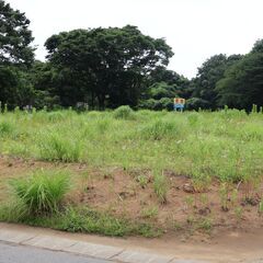【売地のご案内】 資材置場・事業用地に最適！鹿嶋市田野辺784坪 売地 - 鹿嶋市