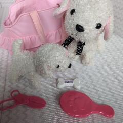 ココさかだちしてもっと!なかよしセットの画像