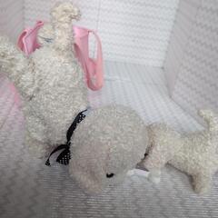 ココさかだちしてもっと!なかよしセットの画像