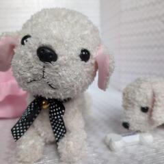 ココさかだちしてもっと!なかよしセットの画像