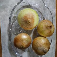 【大玉の新玉ねぎ1kg】