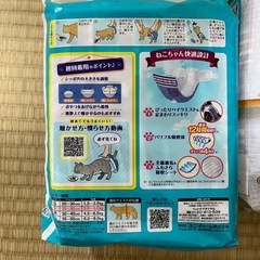 ペットオムツの画像
