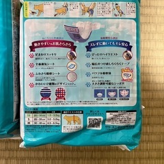 ペットオムツの画像