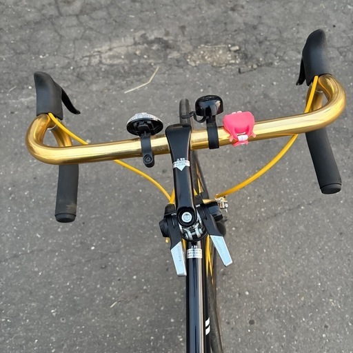 レイチェルプラスGOLDRAGON