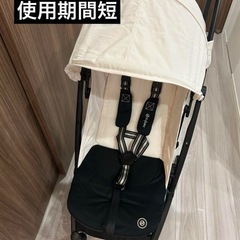 【最終値下げ！美品】サイベックス　リベル 2024 キャンバスホ...