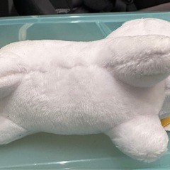 野良ミッフィーの画像