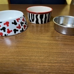 猫ちゃんかワンちゃんのエサ皿ですの画像