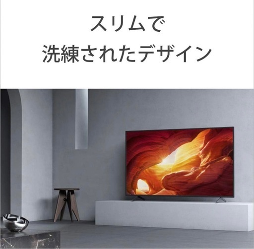 49インチ液晶テレビ SONY Bravia