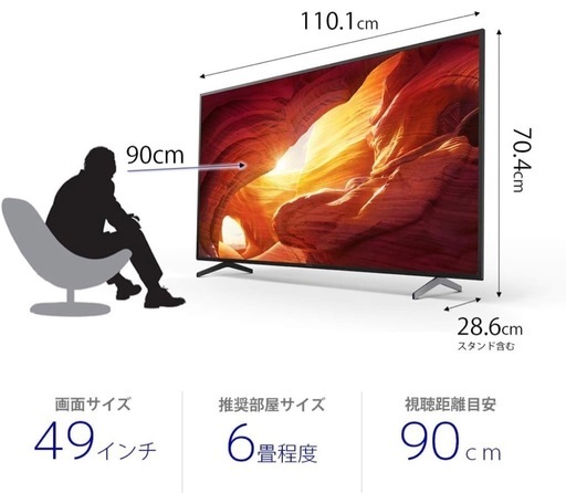 49インチ液晶テレビ SONY Bravia