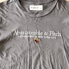 Abercrombie & Fitch Tシャツ Sサイズ くすみ系グリーンの画像