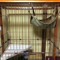 『最終値下げ
』ボンビアルコン(Bonbi) ウッドワンサークル　キャット2段の画像