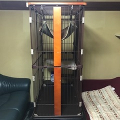 『最終値下げ
』ボンビアルコン(Bonbi) ウッドワンサークル　キャット2段の画像