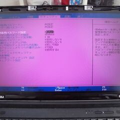 ノートパソコン用 液晶パネルLP156WF4(SP)(L1)表示不良の画像