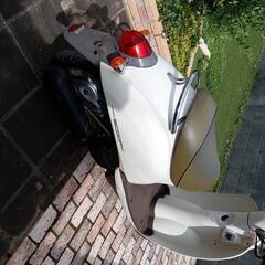ホンダ　クレアスクーピー50の画像