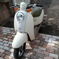 ホンダ　クレアスクーピー50の画像