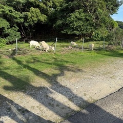 自由な働き方を目指している方のコミュニティ❗️