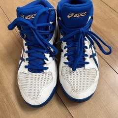 バッシュの画像