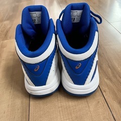 バッシュの画像