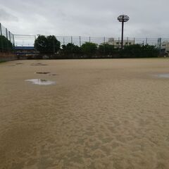 野球選手募集