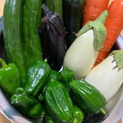 【野菜代節約に！】地元産🥒新鮮野菜をお安くおすそわけします😊
