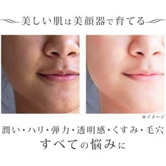 美顔器 ツインエレナイザープレミアム ホームエステDX グレイトセットの画像