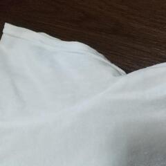 JILLSTUART　Tシャツの画像