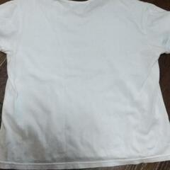 JILLSTUART　Tシャツの画像
