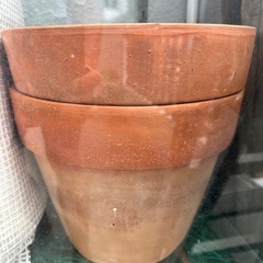 値引きしました。鉢売りますの画像