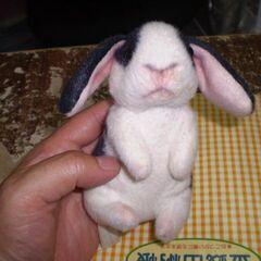 ウサギ　ぬいぐるみ