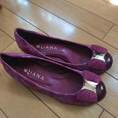 DIANAの画像
