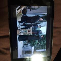 ipad mini2 