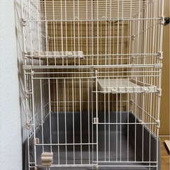 受け渡し予定者決定 キャットゲージ