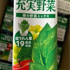 伊藤園　充実野菜　9個　の画像