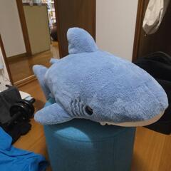 サメぬいぐるみ