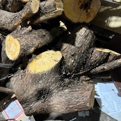 原木　切れ端 生木の画像