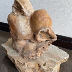 鍾乳石の画像
