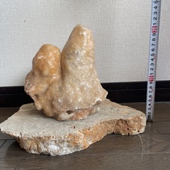 鍾乳石の画像