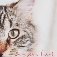 【東京サロン】あなた隠れてますよ・・・猫からもギフト🐈‍⬛