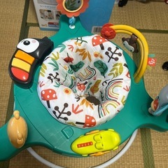 フィッシャープライスゆかいなレインボーフォレストジャンパルーの画像