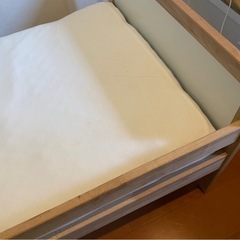IKEA イケア　スニー
グラル　の画像