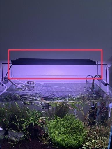 アクアリウムライト  ＊ Chihiros