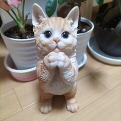 お茶飲み友達募集！楽しくお話ししませんか?
