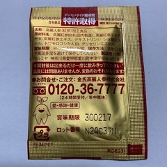 高麗人参 健康食品 神秘の健康力 サンプル1袋の画像