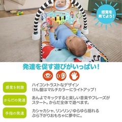 フィッシャープライス　ベビージム　新品の画像