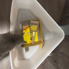 【新品未使用】ライオンペット　猫 トイレ コーナートイレの画像