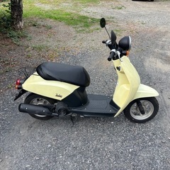 1068.動画あり　ホンダ　トゥデイ AF61 4スト　原付　バイク　50cc 車体　埼玉の画像