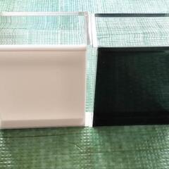 レア‼️五藤めだか様製作、メダカ選別撮影容器2個セットの画像