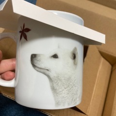 SoftBank hawks ソフトバンク　お父さん　マグカップ　ブランケットの画像