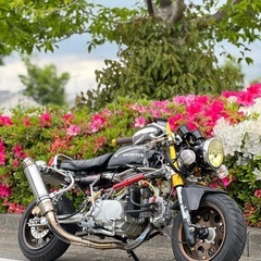 モンキー Amazon | minimoto モンキー/ゴリラ12V電球/バルブセット ヘッド
