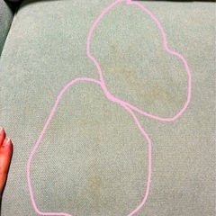 【全体的に汚れあり】【お取引中】ニトリ2人掛けソファの画像